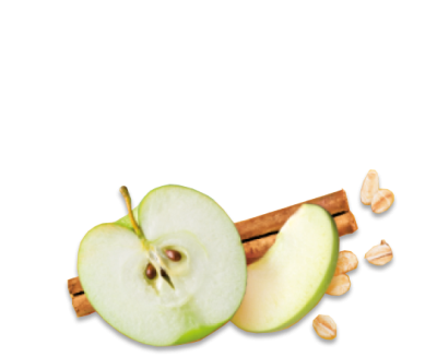 appel, haver en kaneel fruithapje organix